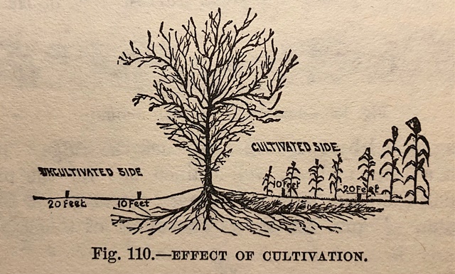 Effect of cultivation